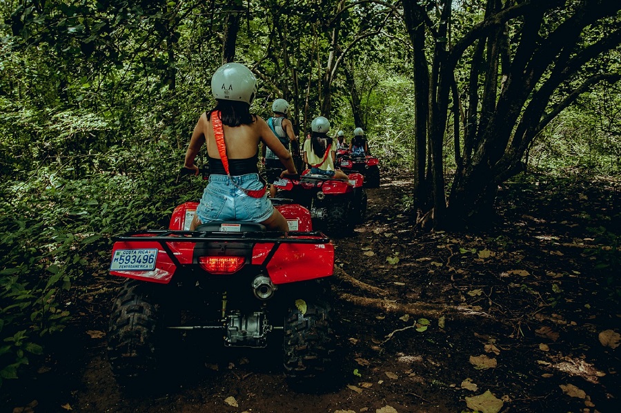 Paradise Management - ATVS