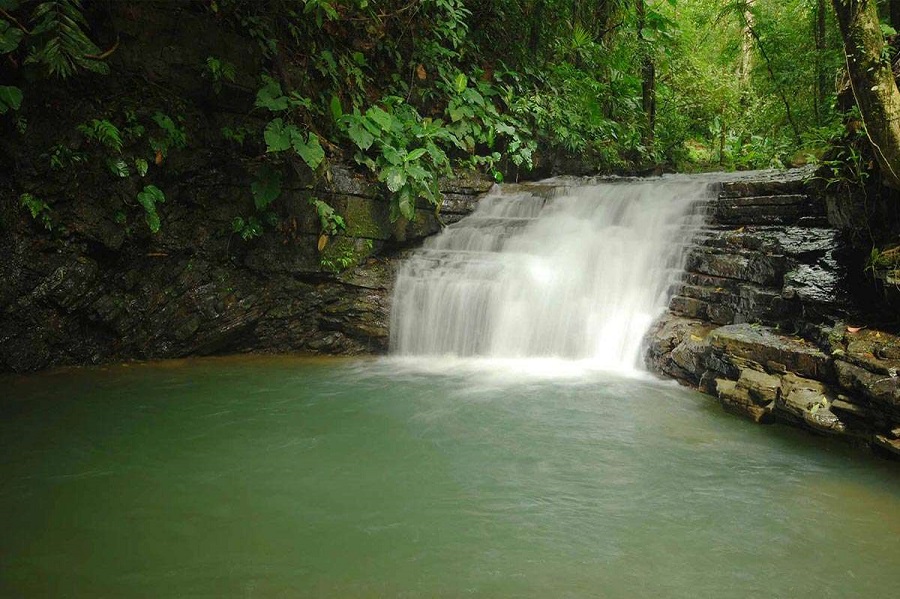 Paradise Management - WATERFALLS SAFARI TOUR